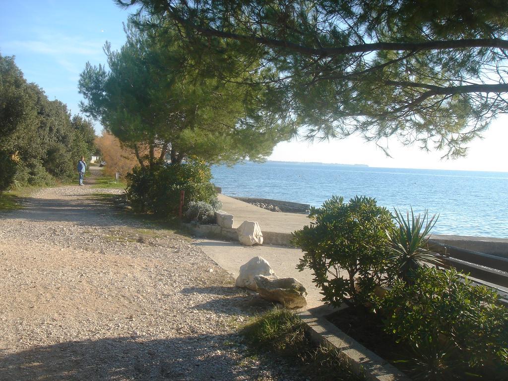 Villa Laurus I Kožino Dış mekan fotoğraf