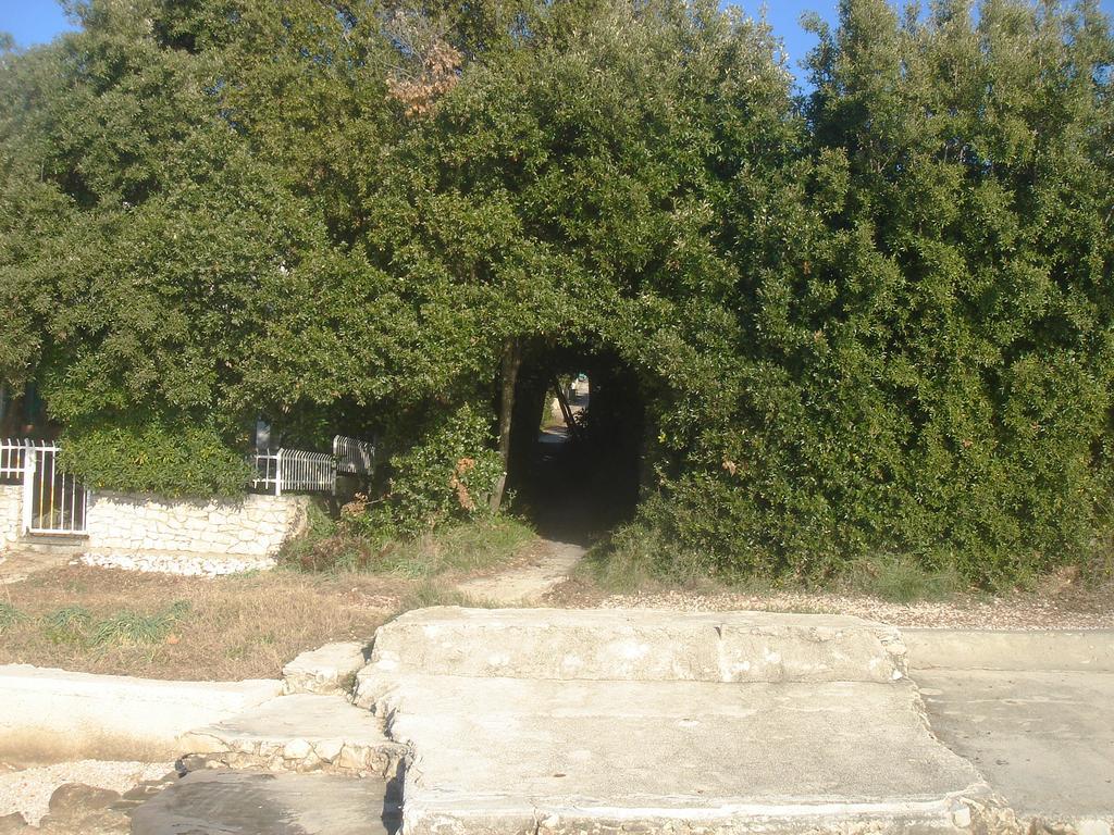 Villa Laurus I Kožino Dış mekan fotoğraf